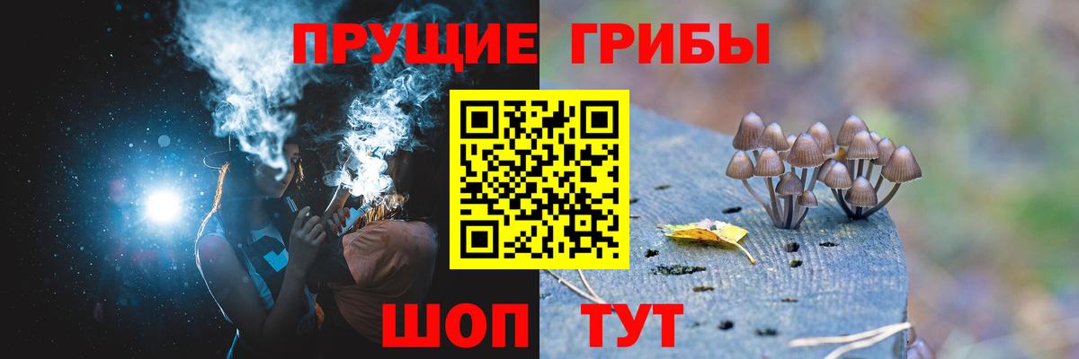 Рубцовск  магазин  наркотиков  Вход с VPN  Галлюциногенные грибы ЛСД 